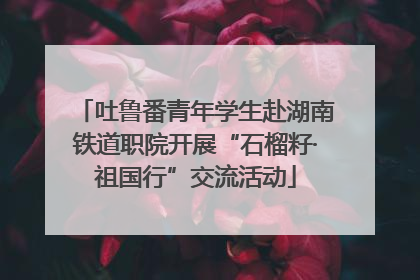 吐鲁番青年学生赴湖南铁道职院开展“石榴籽·祖国行”交流活动