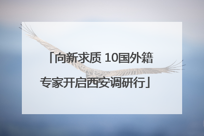 向新求质 10国外籍专家开启西安调研行
