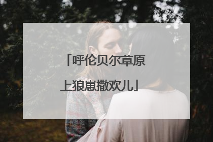 呼伦贝尔草原上狼崽撒欢儿