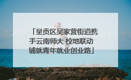 呈贡区吴家营街道携手云南师大 校地联动铺就青年就业创业路