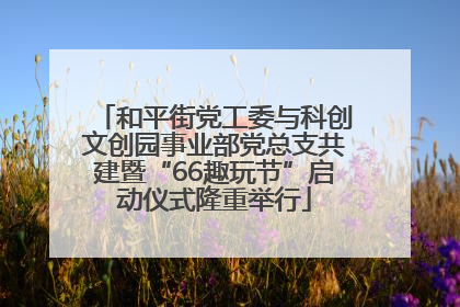 和平街党工委与科创文创园事业部党总支共建暨“66趣玩节”启动仪式隆重举行
