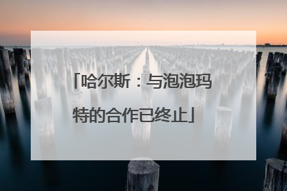 哈尔斯：与泡泡玛特的合作已终止