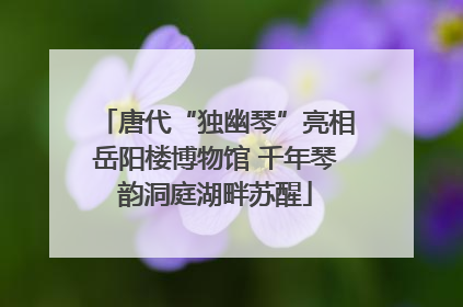 唐代“独幽琴”亮相岳阳楼博物馆 千年琴韵洞庭湖畔苏醒