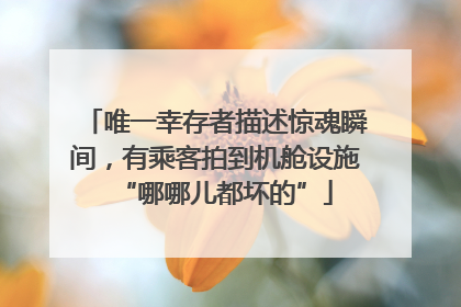 唯一幸存者描述惊魂瞬间，有乘客拍到机舱设施“哪哪儿都坏的”