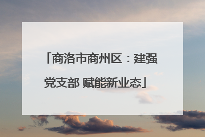 商洛市商州区：建强党支部 赋能新业态