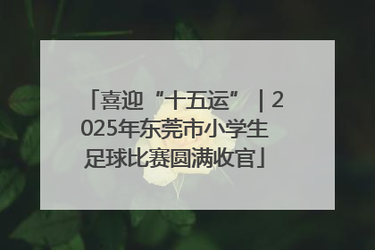 喜迎“十五运”｜2025年东莞市小学生足球比赛圆满收官