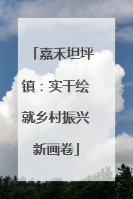 嘉禾坦坪镇：实干绘就乡村振兴新画卷