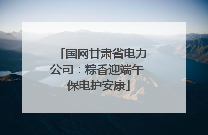 国网甘肃省电力公司：粽香迎端午 保电护安康