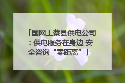 国网上蔡县供电公司：供电服务在身边 安全咨询“零距离”