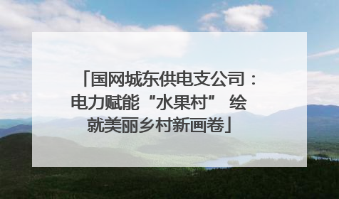 国网城东供电支公司：电力赋能“水果村” 绘就美丽乡村新画卷