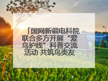 国网新疆电科院联合多方开展“爱鸟护线”科普交流活动 共筑鸟类友好城市