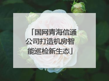 国网青海信通公司打造机房智能巡检新生态