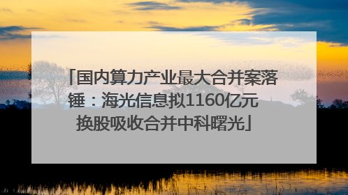 国内算力产业最大合并案落锤：海光信息拟1160亿元换股吸收合并中科曙光
