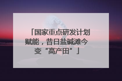 国家重点研发计划赋能，昔日盐碱滩今变“高产田”
