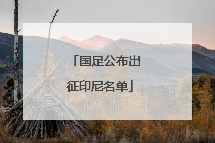 国足公布出征印尼名单