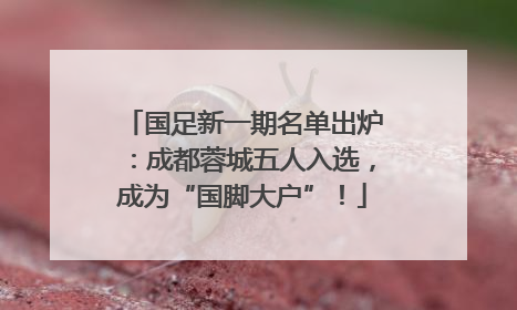 国足新一期名单出炉：成都蓉城五人入选，成为“国脚大户”！