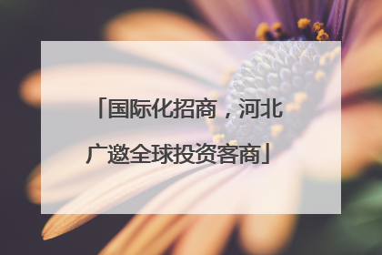 国际化招商，河北广邀全球投资客商