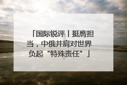 国际锐评丨挺膺担当，中俄并肩对世界负起“特殊责任”