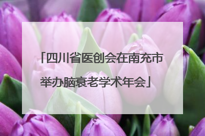 四川省医创会在南充市举办脑衰老学术年会