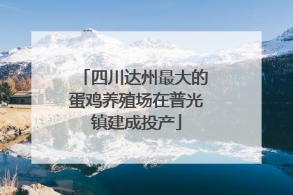 四川达州最大的蛋鸡养殖场在普光镇建成投产