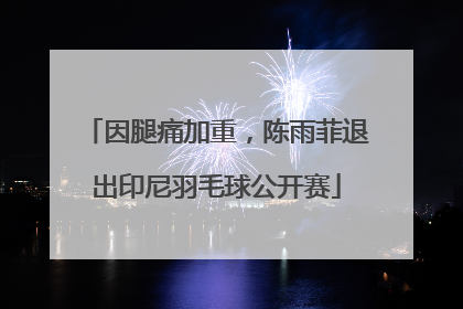 因腿痛加重，陈雨菲退出印尼羽毛球公开赛