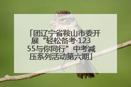 团辽宁省鞍山市委开展“轻松备考·12355与你同行”中考减压系列活动第六期