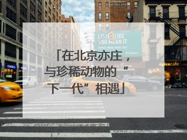 在北京亦庄，与珍稀动物的“下一代”相遇