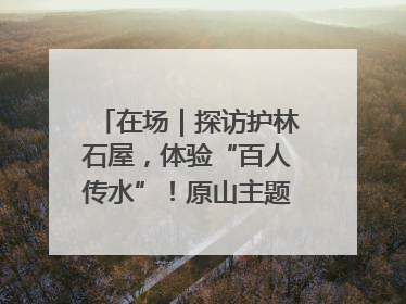 在场｜探访护林石屋，体验“百人传水”！原山主题党日活动“走新”更“走心”