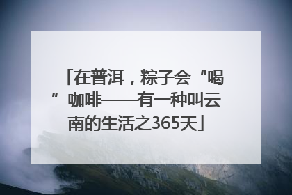在普洱，粽子会“喝”咖啡——有一种叫云南的生活之365天