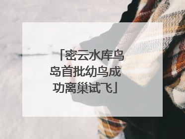 密云水库鸟岛首批幼鸟成功离巢试飞