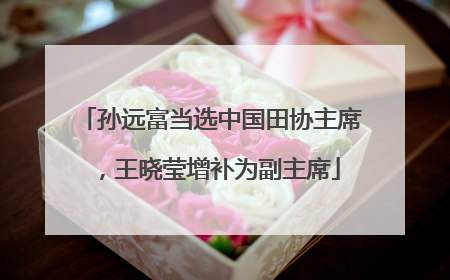 孙远富当选中国田协主席，王晓莹增补为副主席