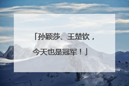 孙颖莎、王楚钦，今天也是冠军！
