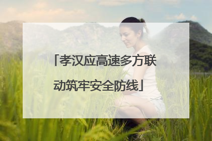 孝汉应高速多方联动筑牢安全防线