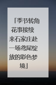 季节转角花事接续 来石家庄赴一场鸢尾绽放的彩色梦境