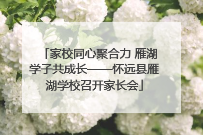 家校同心聚合力 雁湖学子共成长——怀远县雁湖学校召开家长会