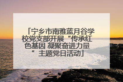 宁乡市南雅蓝月谷学校党支部开展“传承红色基因 凝聚奋进力量”主题党日活动
