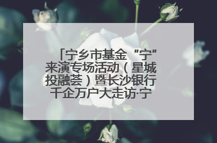宁乡市基金“宁”来演专场活动（星城投融荟）暨长沙银行千企万户大走访·宁乡专场活动举行