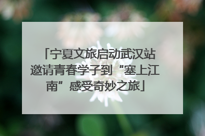 宁夏文旅启动武汉站 邀请青春学子到“塞上江南”感受奇妙之旅