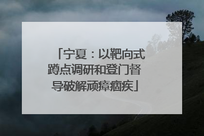 宁夏：以靶向式蹲点调研和登门督导破解顽瘴痼疾