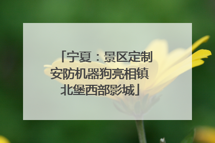宁夏：景区定制安防机器狗亮相镇北堡西部影城