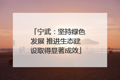 宁武：坚持绿色发展 推进生态建设取得显著成效