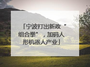 宁波打出新政“组合拳”，加码人形机器人产业