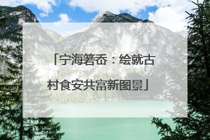 宁海箬岙：绘就古村食安共富新图景