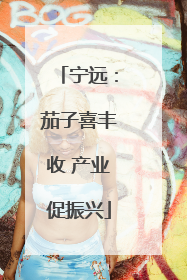 宁远：茄子喜丰收 产业促振兴