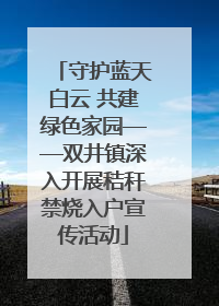 守护蓝天白云 共建绿色家园——双井镇深入开展秸秆禁烧入户宣传活动