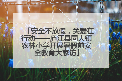 安全不放假，关爱在行动——庐江县同大镇农林小学开展暑假前安全教育大家访