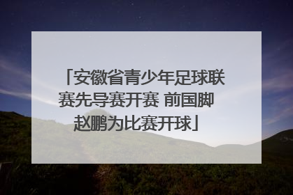 安徽省青少年足球联赛先导赛开赛 前国脚赵鹏为比赛开球