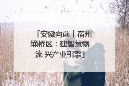 安徽向前丨宿州埇桥区：建智慧物流 兴产业引擎
