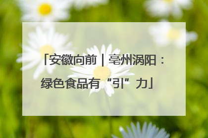安徽向前｜亳州涡阳：绿色食品有“引”力