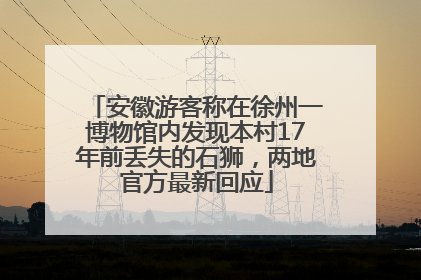 安徽游客称在徐州一博物馆内发现本村17年前丢失的石狮，两地官方最新回应